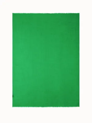 Cashmere Silk Scarf Akris