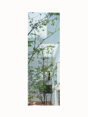 Cashmere Silk Scarf with House N Trees Print Akris