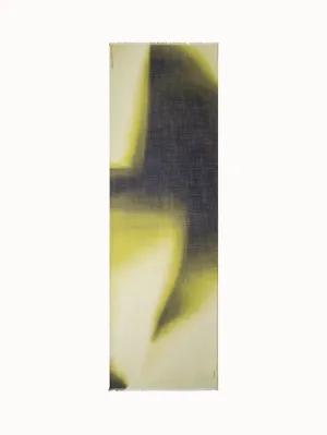 Cashmere Silk Scarf with Shadow Print Akris