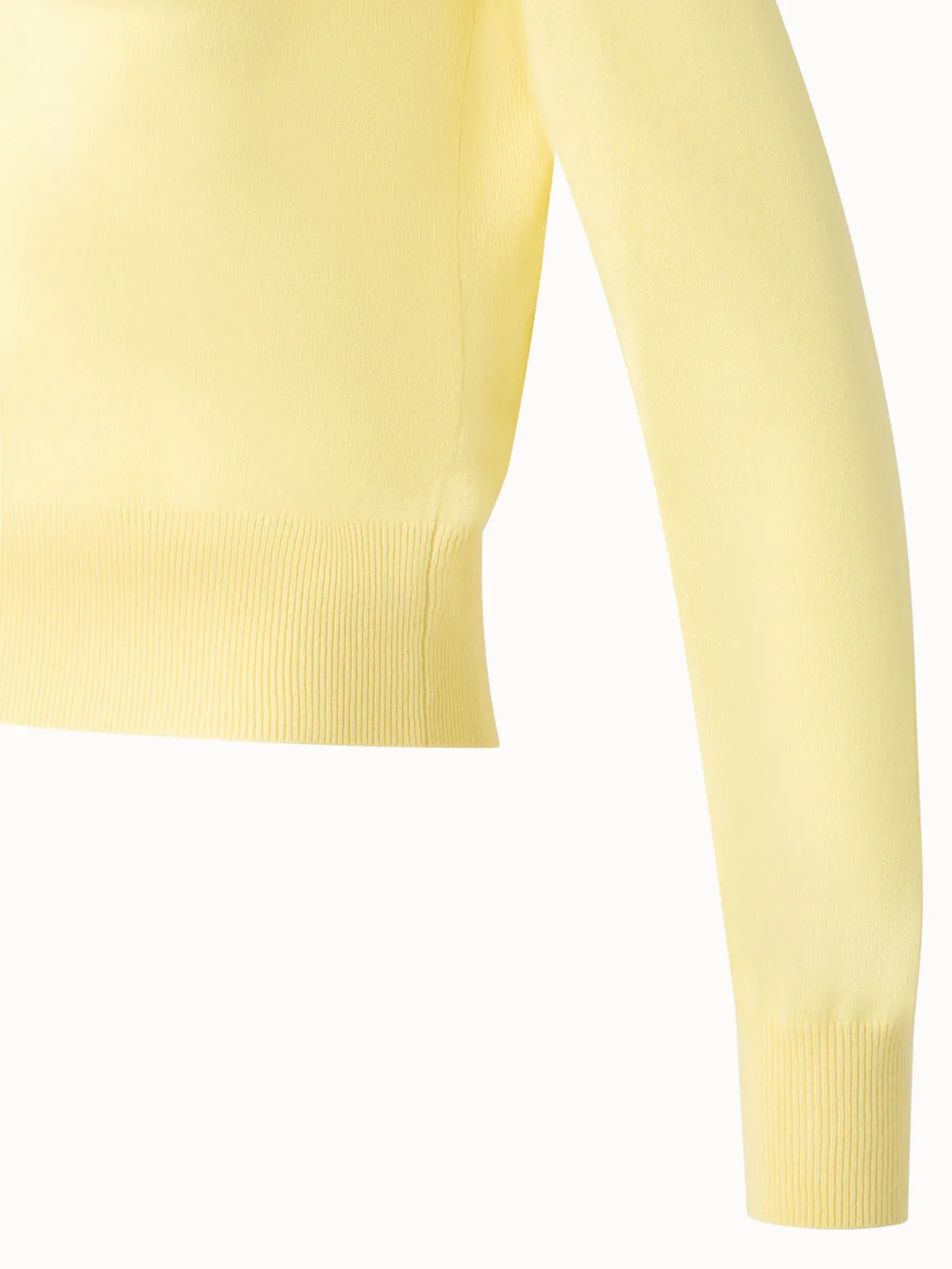 Cashmere Sweater with Fine Sheer Stripe Akris