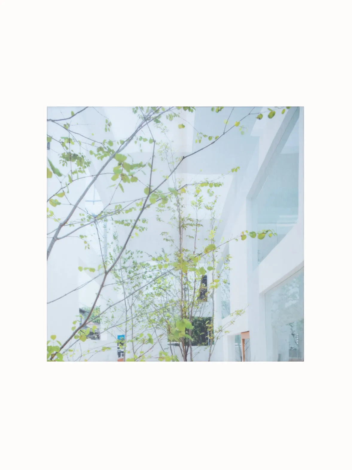 Cotton Silk Scarf with House N Trees Print Akris