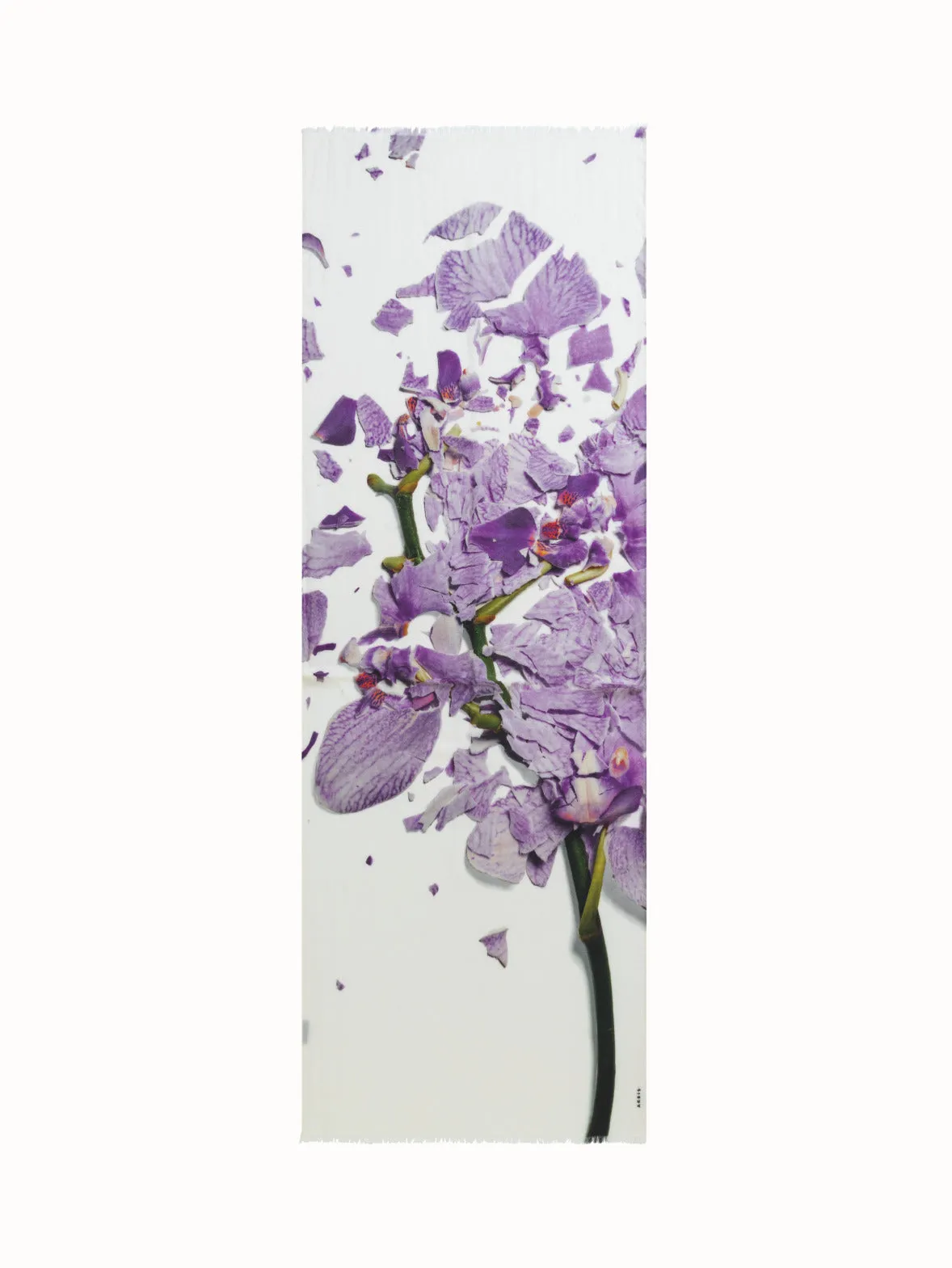 Scarf Cashmere Silk Scattered Orchid Print Akris