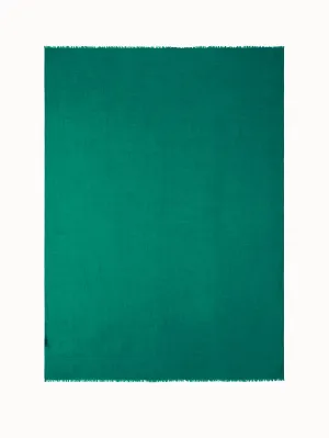 Scarf in Cashmere Silk Akris