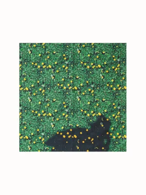 Scarf in Silk with Buttercups Print Akris