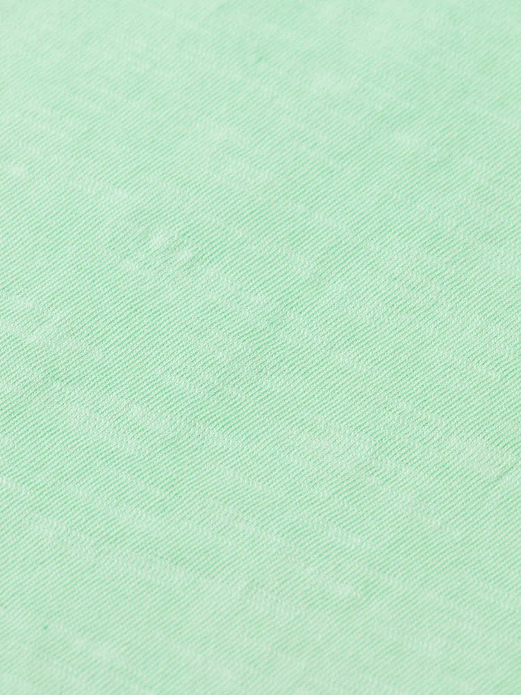 Scotch & Soda T-Shirt Mint